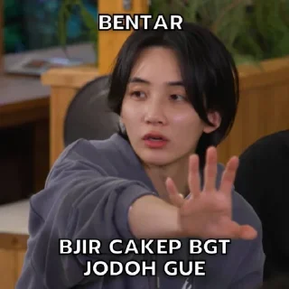 🤫 emoji GOING SEVENTEEN ONCE SAID Telegram sticker 17 of 43