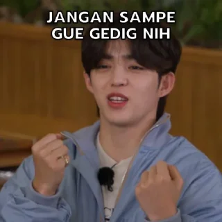 🤫 emoji GOING SEVENTEEN ONCE SAID Telegram sticker 19 of 43