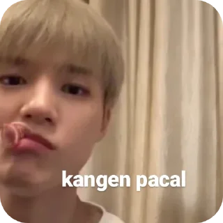 🤲 emoji @NonoL once said Telegram sticker 11 of 23