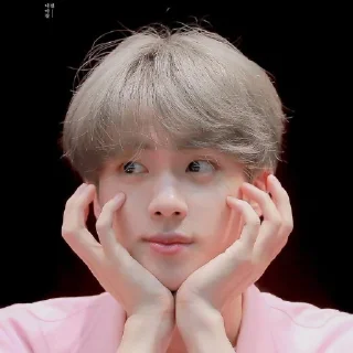 🐹 emoji JINOREZ as @SEOKJINIEST Telegram sticker 4 of 119