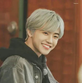 Sticker from Jaemin In Wonderland — @OOKANS