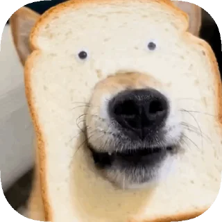 🍞 emoji 𝙊𝙥𝙨 ! 𝙈𝙮 𝙎𝙩𝙞𝙘𝙠𝙚𝙧 : 𝘽𝙚𝙩𝙖 Telegram sticker 21 of 40