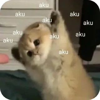 😀 emoji punya ana (⁠◕⁠ᴗ⁠◕⁠✿⁠) Telegram sticker 2 of 85
