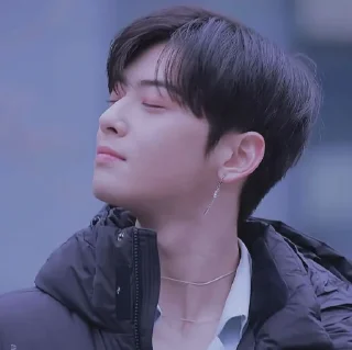 ☺️ emoji Eunwoo soft pack Telegram sticker 3 of 27