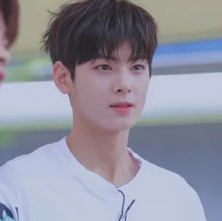 😧 emoji Eunwoo soft pack Telegram sticker 4 of 27