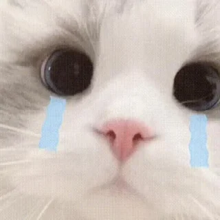 😩 emoji 白桃且66 Telegram sticker 5 of 25