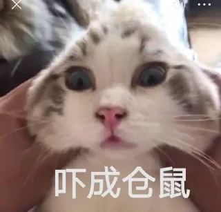 😣 emoji @S_oulMate 的私藏 (2) Telegram sticker 20 of 83