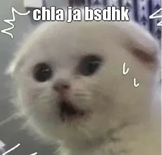 😑 emoji 𝙈𝙄𝙉𝙀 𝙎𝙏𝙄𝘾𝙆𝙀𝙍𝙎~ { @xoxo_bliss } Telegram sticker 23 of 100