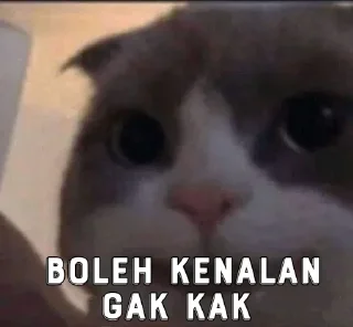 Sticker from @PoocongOnlen #𝙛𝙖𝙠𝙚𝙜𝙝𝙤𝙨𝙩🇮🇩