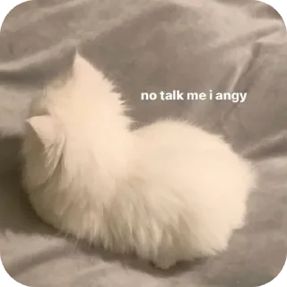 🐱 emoji U you cutie Telegram sticker 14 of 17