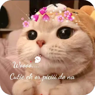 🐱 emoji U you cutie Telegram sticker 2 of 17