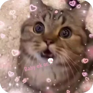 🐱 emoji U you cutie Telegram sticker 11 of 17