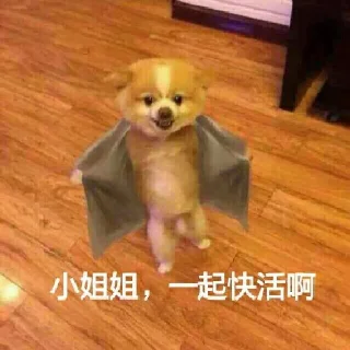 😃 emoji 大饼包 Telegram sticker 6 of 85