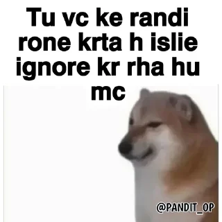 🙂 emoji 𝗖𝗛𝗘𝗘𝗠𝗦 𝗠𝗖 @PANDIT_OP Telegram sticker 4 of 10