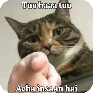 Sticker from Random shit starter pack 1 @Sisalisanedits