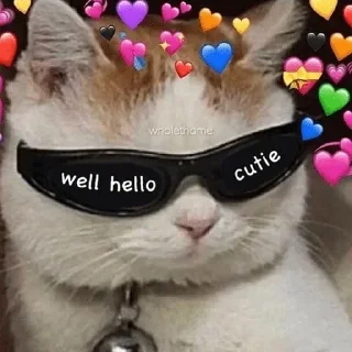 😎 emoji Tata🐝  meow pack 🐱💖 Telegram sticker 4 of 120