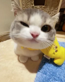 😉 emoji ꧁⛧ Budak bengong ⛧꧂'s Telegram sticker 14 of 35