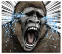 😭 emoji Gorilla gorilla @stickerscar Telegram sticker 22 of 40