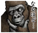 🤔 emoji Gorilla gorilla @stickerscar Telegram sticker 15 of 40