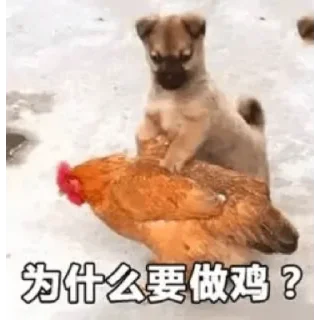 🐔 emoji 屌图 (@emo315) Telegram sticker 16 of 30