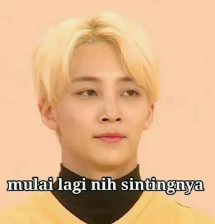 Sticker from Seventeen meme