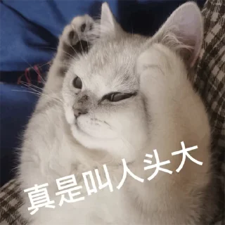 👽 emoji 福利精选@videosharesex Telegram sticker 14 of 30