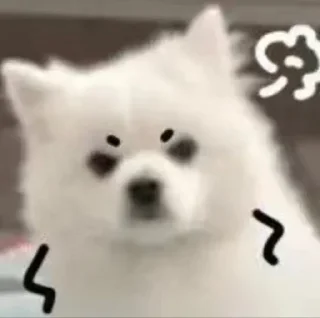 Sticker from SHURA'S dog