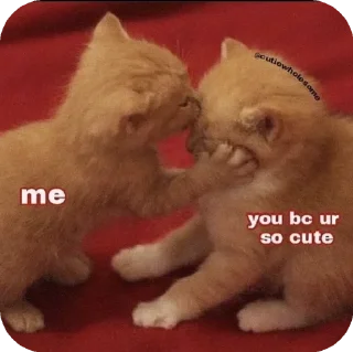 😂 emoji 𝙐𝙛𝙛 𝙥𝙖𝙘𝙠 𝙗𝙮 𝙧𝙪𝙥🎀 Telegram sticker 14 of 120