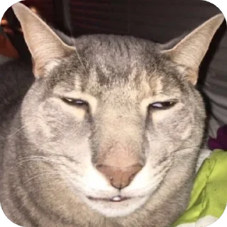 😐 emoji Ted's Gaming Pack Telegram sticker 4 of 120