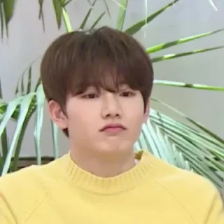 🌼 emoji junkyu meme @stickertreasure Telegram sticker 6 of 19