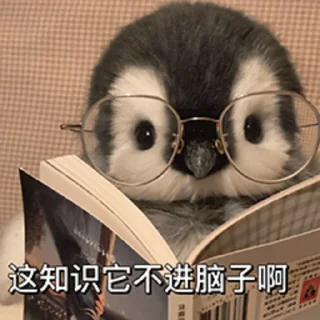 🤓 emoji 🐧企鹅｜@manilano1 Telegram sticker 18 of 39