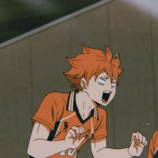 Sticker from Hinata Shoyo🍊