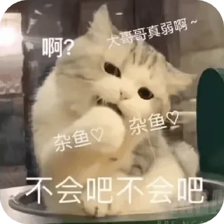 😘 emoji Foxy的贴纸包 1st Telegram sticker 20 of 100