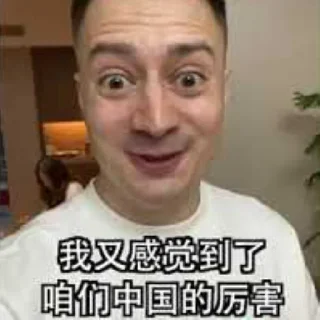 🤙 emoji 爱国战士伏拉夫 Telegram sticker 21 of 28