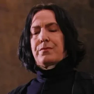🧹 emoji Serious Snape Telegram sticker 23 of 32