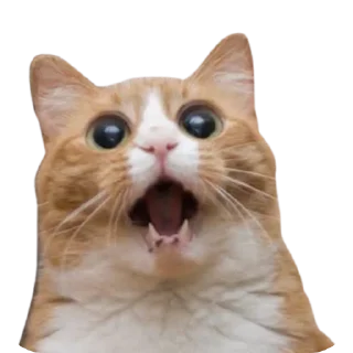 😱 emoji JBot's Stickers   @unofficial_telegramBD Telegram sticker 14 of 58