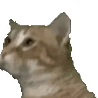 😸 emoji 驼的动态仓库 Telegram sticker 9 of 57