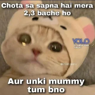 Sticker from —͟͞͞RAUTELA JI ᥫ᭡'s sticker kang pack