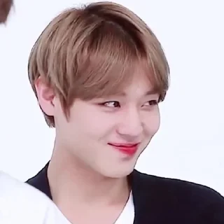 🧩 emoji park jihoon ganteng – @roleplayersticker Telegram sticker 7 of 15