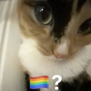 🤭 emoji ap ajh Telegram sticker 19 of 36