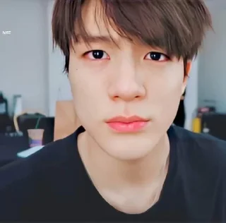 🦅 emoji lee jeno @jeonhz Telegram sticker 6 of 96
