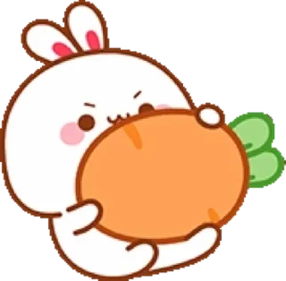 🐰 emoji Bunny Telegram sticker 17 of 40