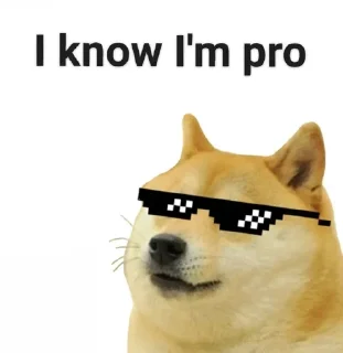 😎 emoji @Darbar07 doge pack Telegram sticker 9 of 72
