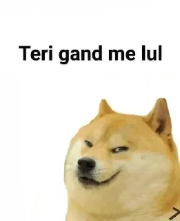 😁 emoji @Darbar07 doge pack Telegram sticker 8 of 72