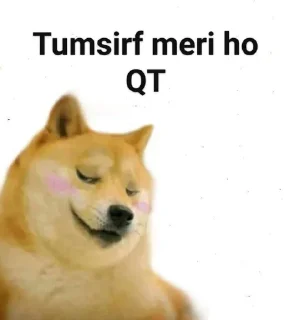 🤔 emoji @Darbar07 doge pack Telegram sticker 3 of 72