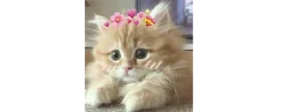 😍 emoji @KeepCalmYami chotu pack Telegram sticker 15 of 119
