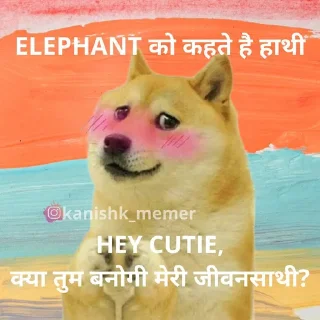 Sticker from @kanishk_memer