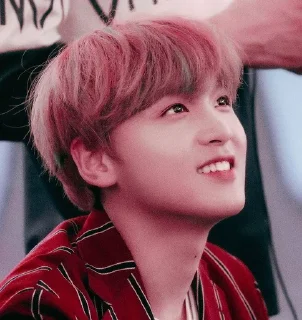 🐻 emoji haechan soft @stickernct Telegram sticker 6 of 33