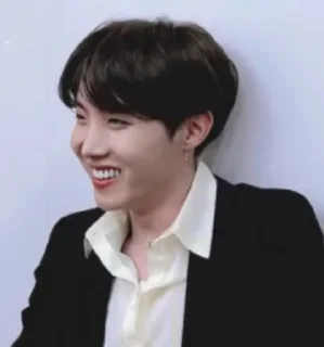 🍏 emoji Random jhope Telegram sticker 21 of 120