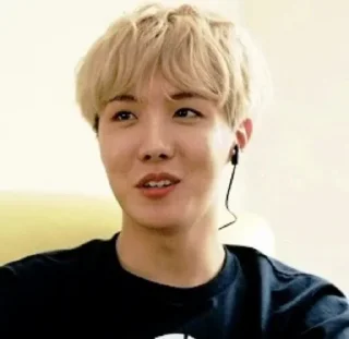 🍏 emoji Random jhope Telegram sticker 19 of 120